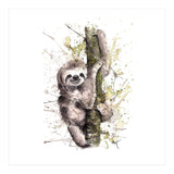 Sloth - Wildlife Collection (Print Only) thumbnail