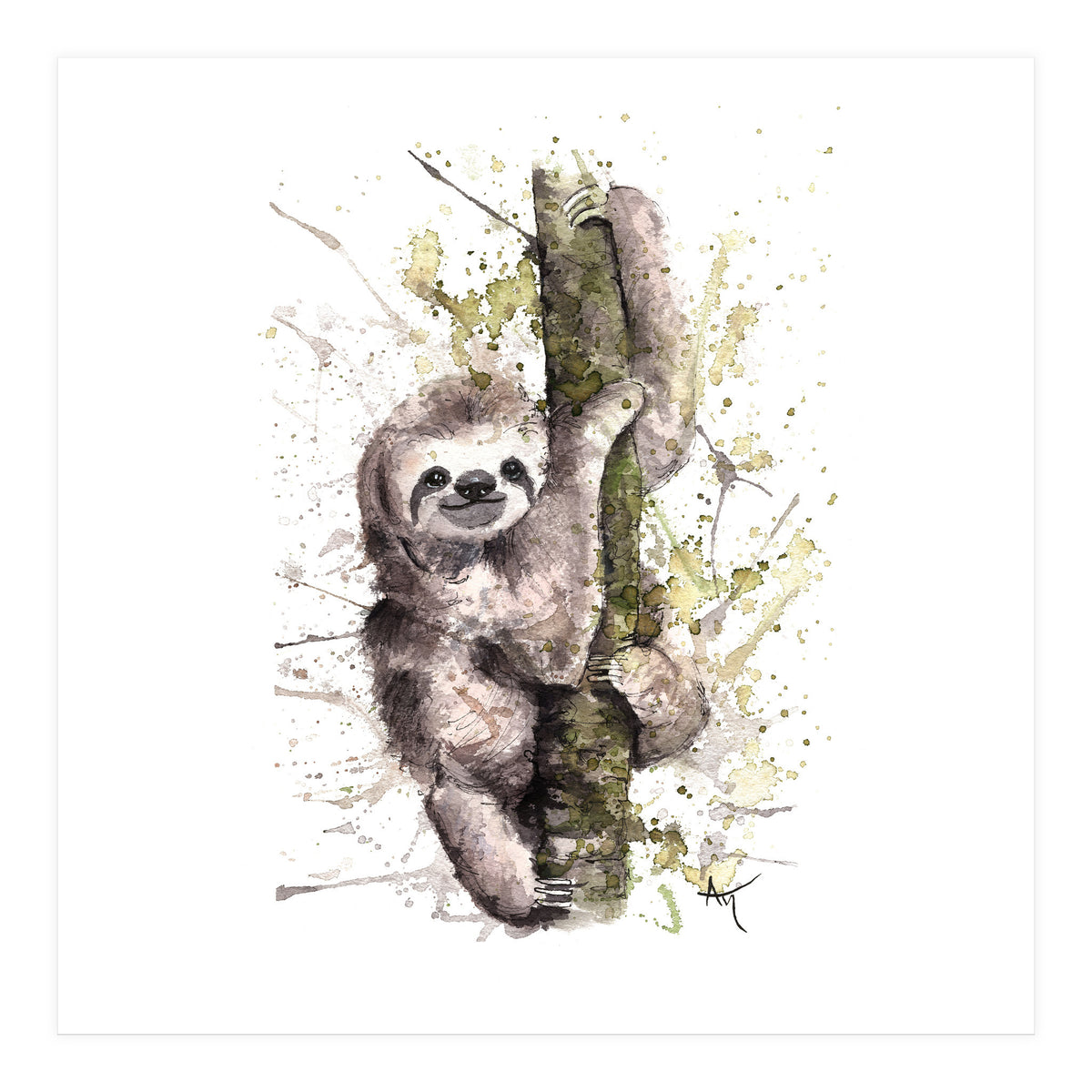 Sloth - Wildlife Collection (Print Only)