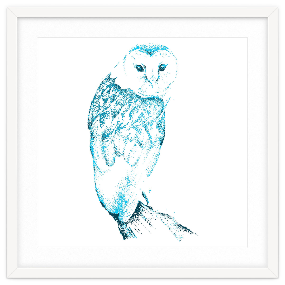 Barn Owl in Teal