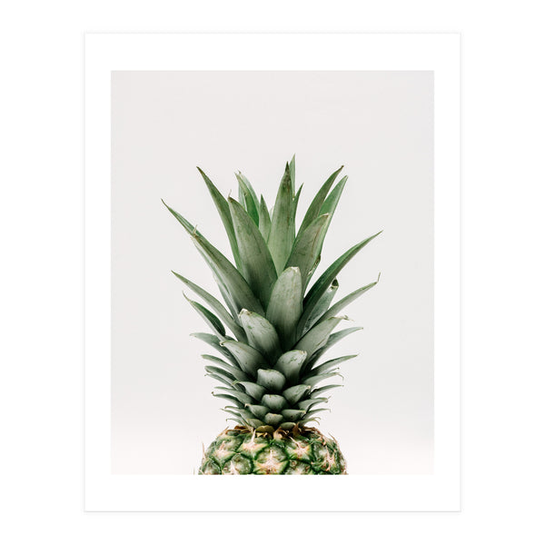 Pineapple Top (Print Only)