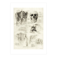 Skeleton (Print Only)