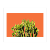 Bold Cactus (Print Only)