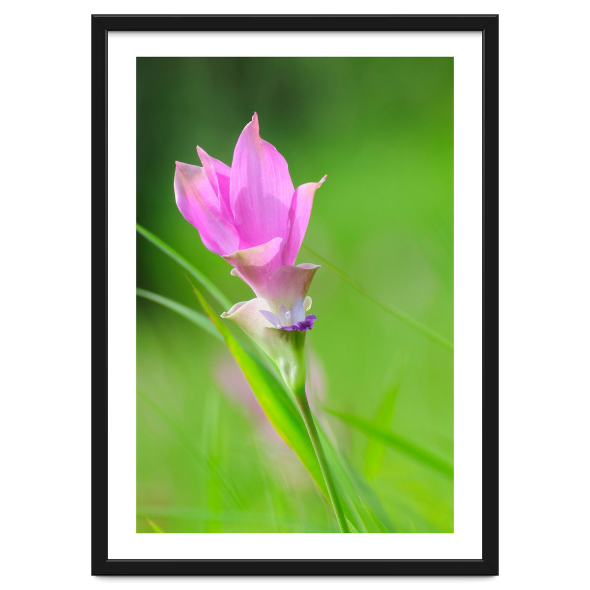 Nature 4000x6000 (12)