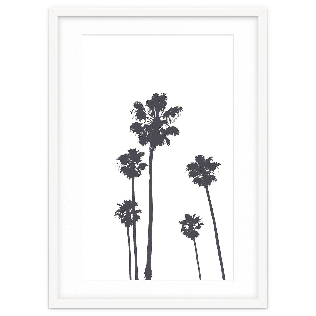 Palms & Sunset-Minimal B&W 2