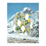 Mountain Flower (Print Only) thumbnail