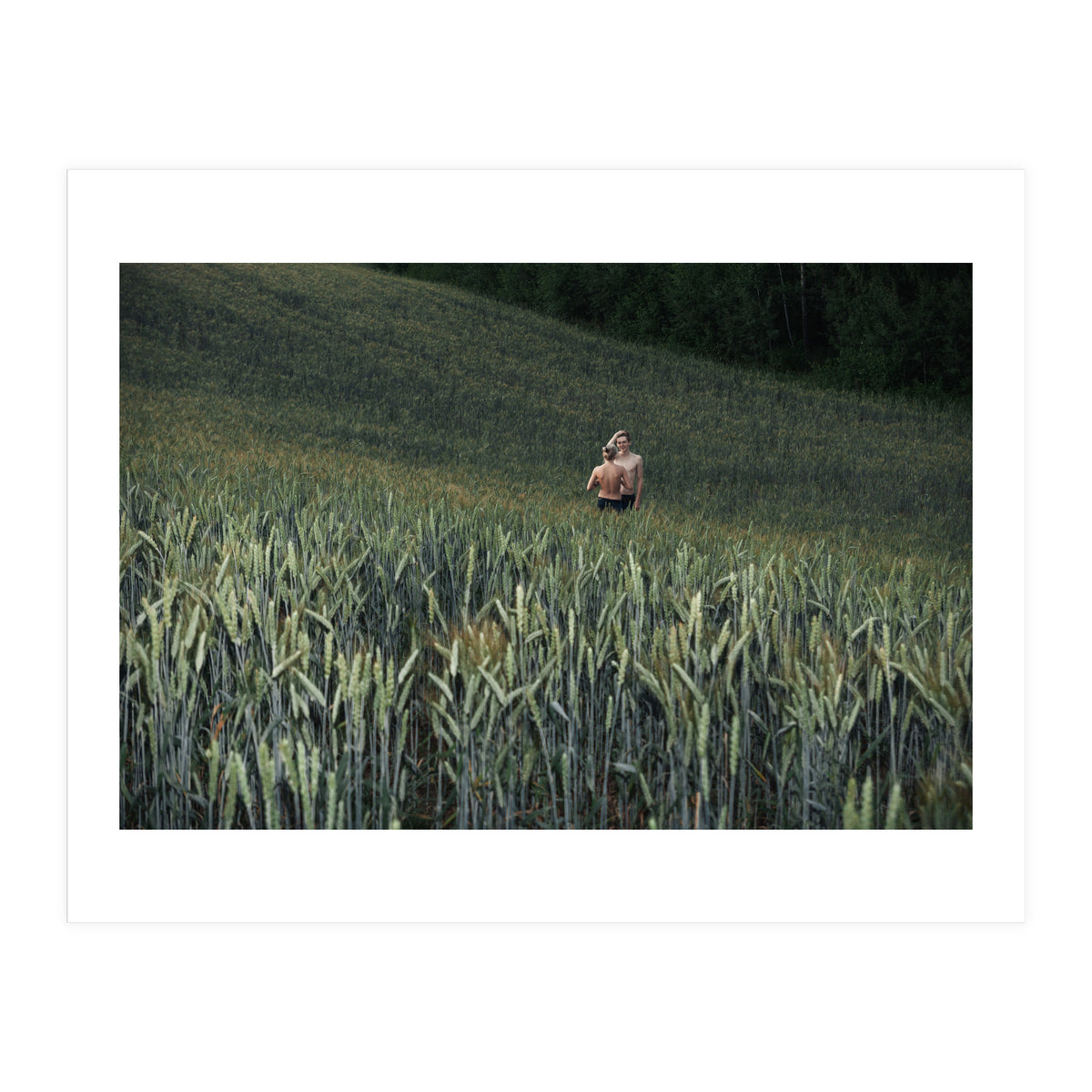 Logical Fallacy (Print Only)