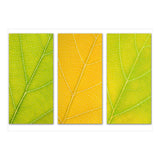 Autumn Leaves (Print Only) thumbnail