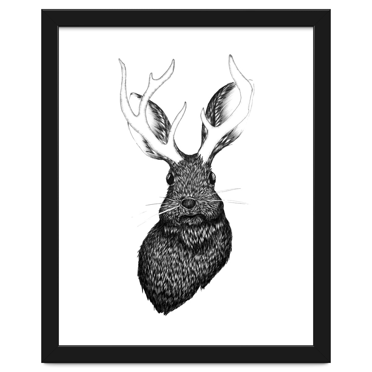 Jackalope