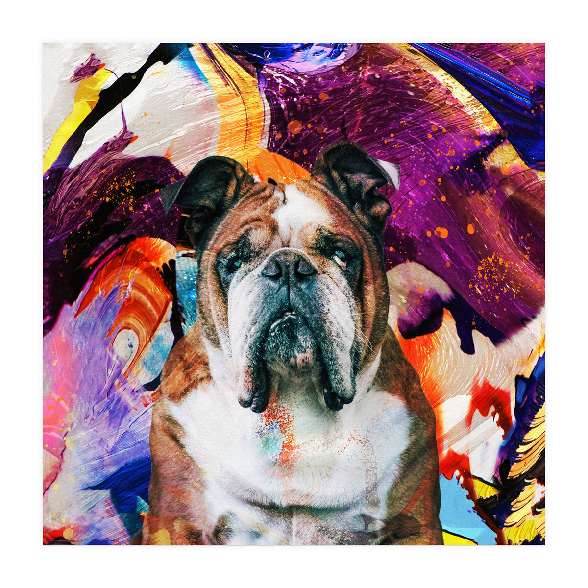 Zycko Color Dog 3 (Print Only)
