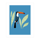 Toucan (Print Only) thumbnail