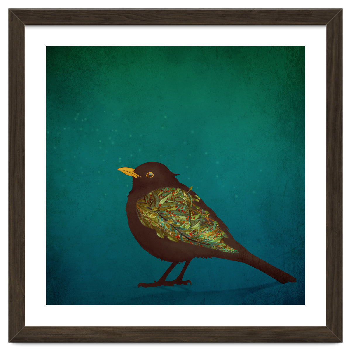 Camouflage: The Blackbird