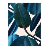 Ficus Elastica 2 (Print Only) thumbnail