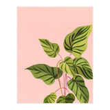 Tropical Rising (Print Only) thumbnail