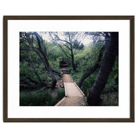 Glen Canyon Park