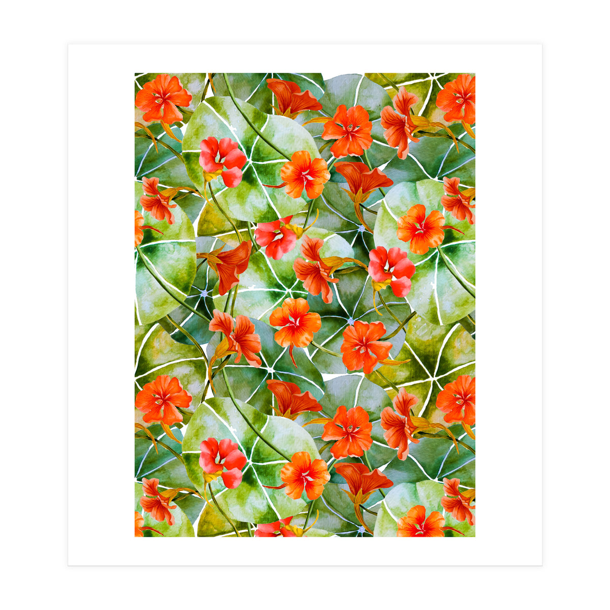 Nasturtiums watercolor 01 (Print Only)