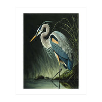 Heron Oil Painting (Print Only)