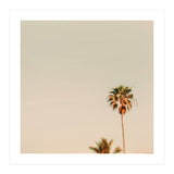 Minimal Palms  (Print Only) thumbnail