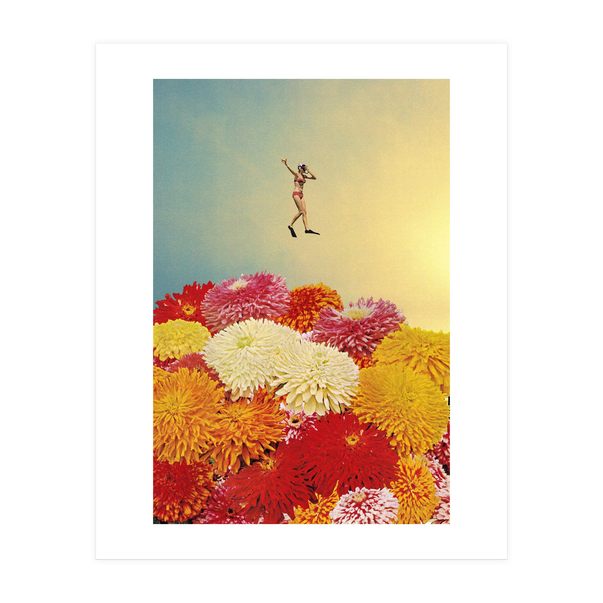 Diver (Print Only)