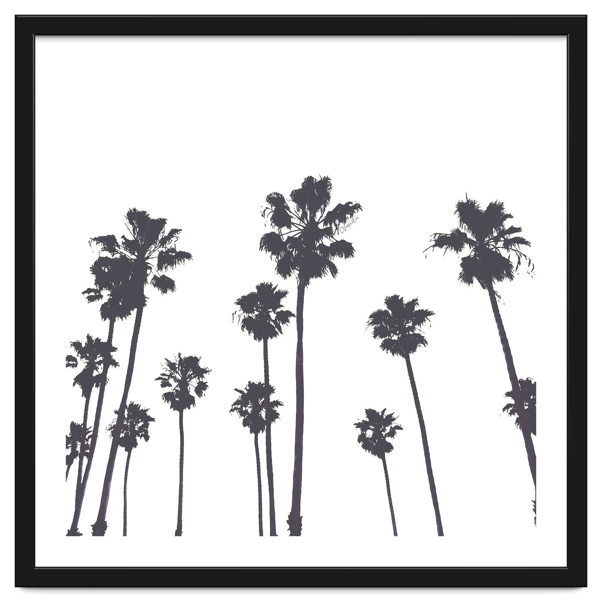 Palms & Sunset-Minimal B&W