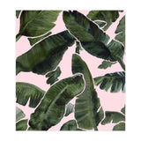 Palms (Print Only) thumbnail