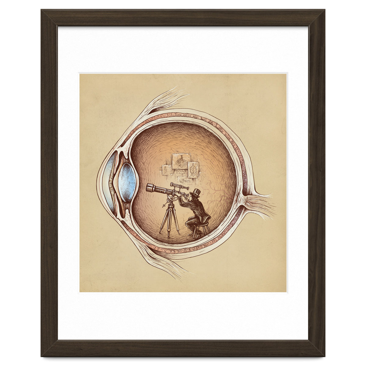 Extraordinary Observer