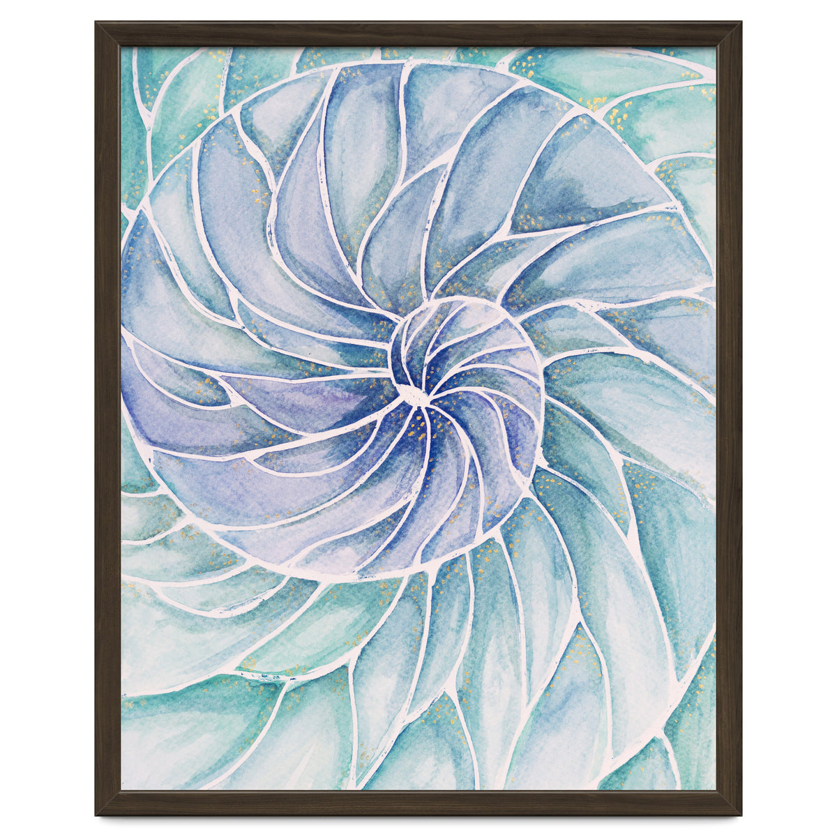 The inside of a shell