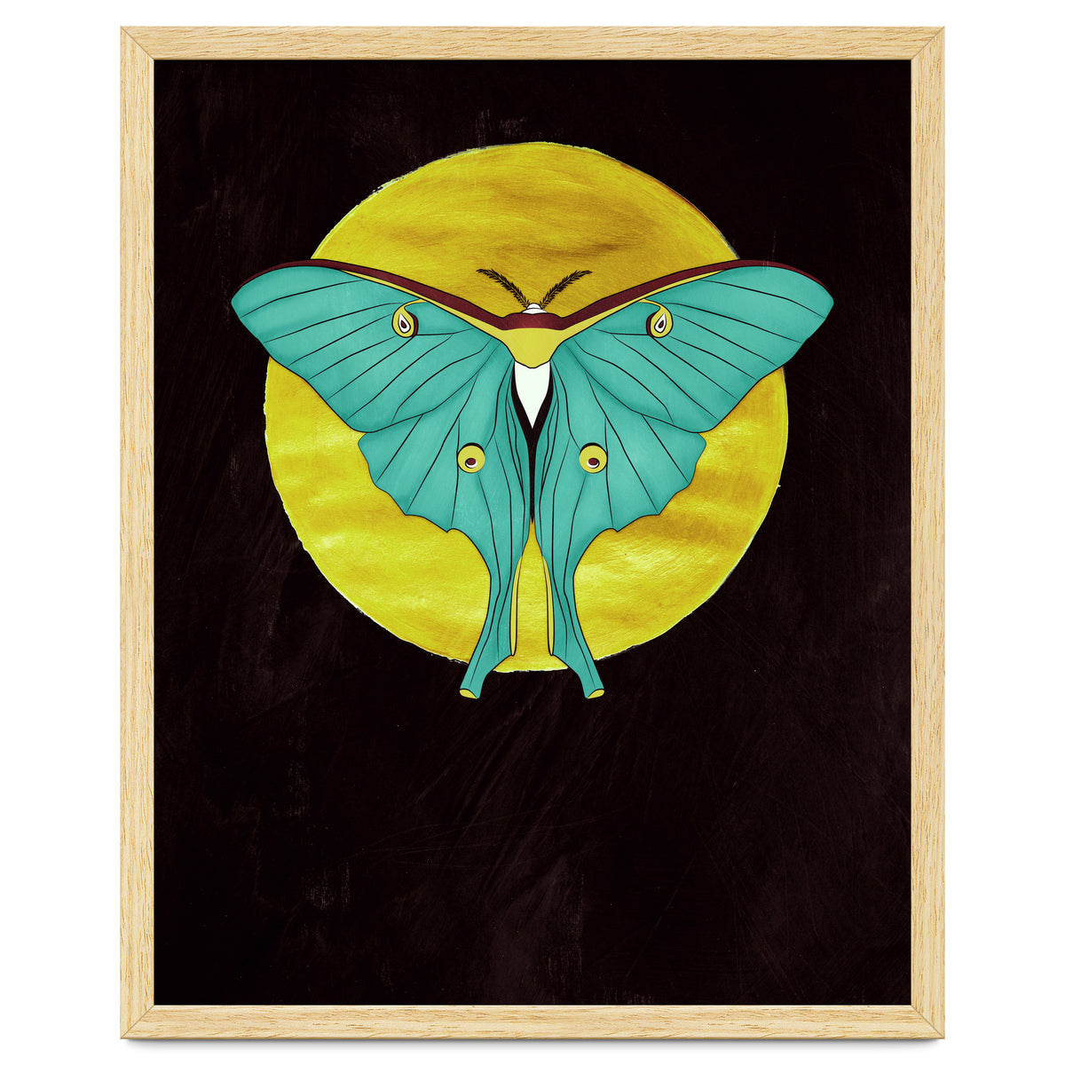 Luna Moth Moon
