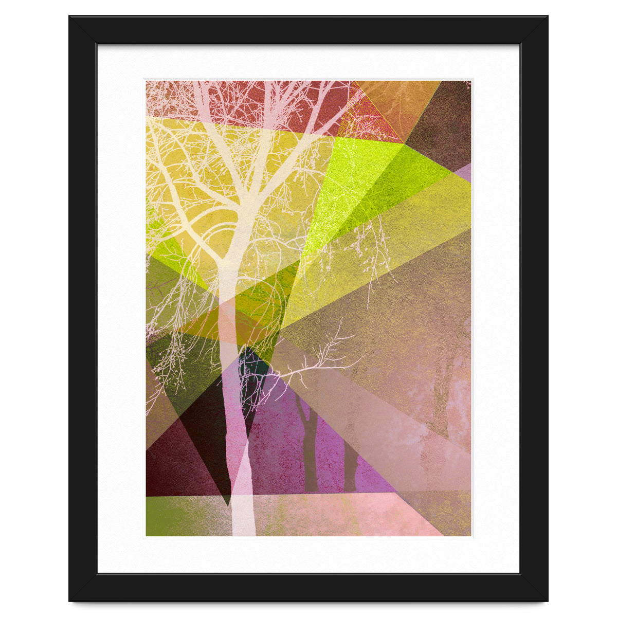 P22 Trees And Triangles