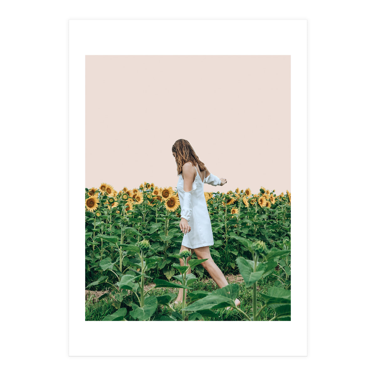 Lost In Sunflowers (Print Only)
