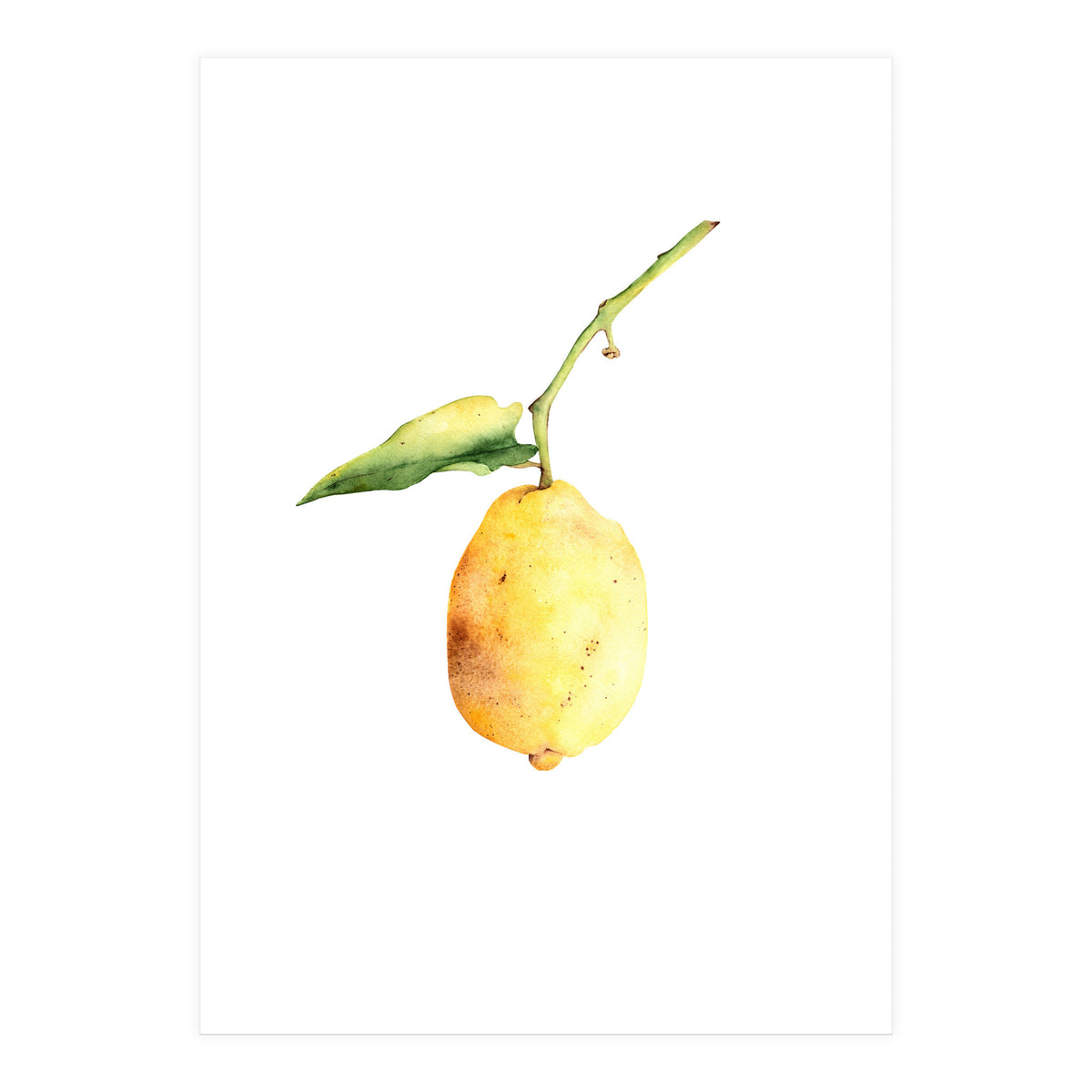Lemon (Print Only)