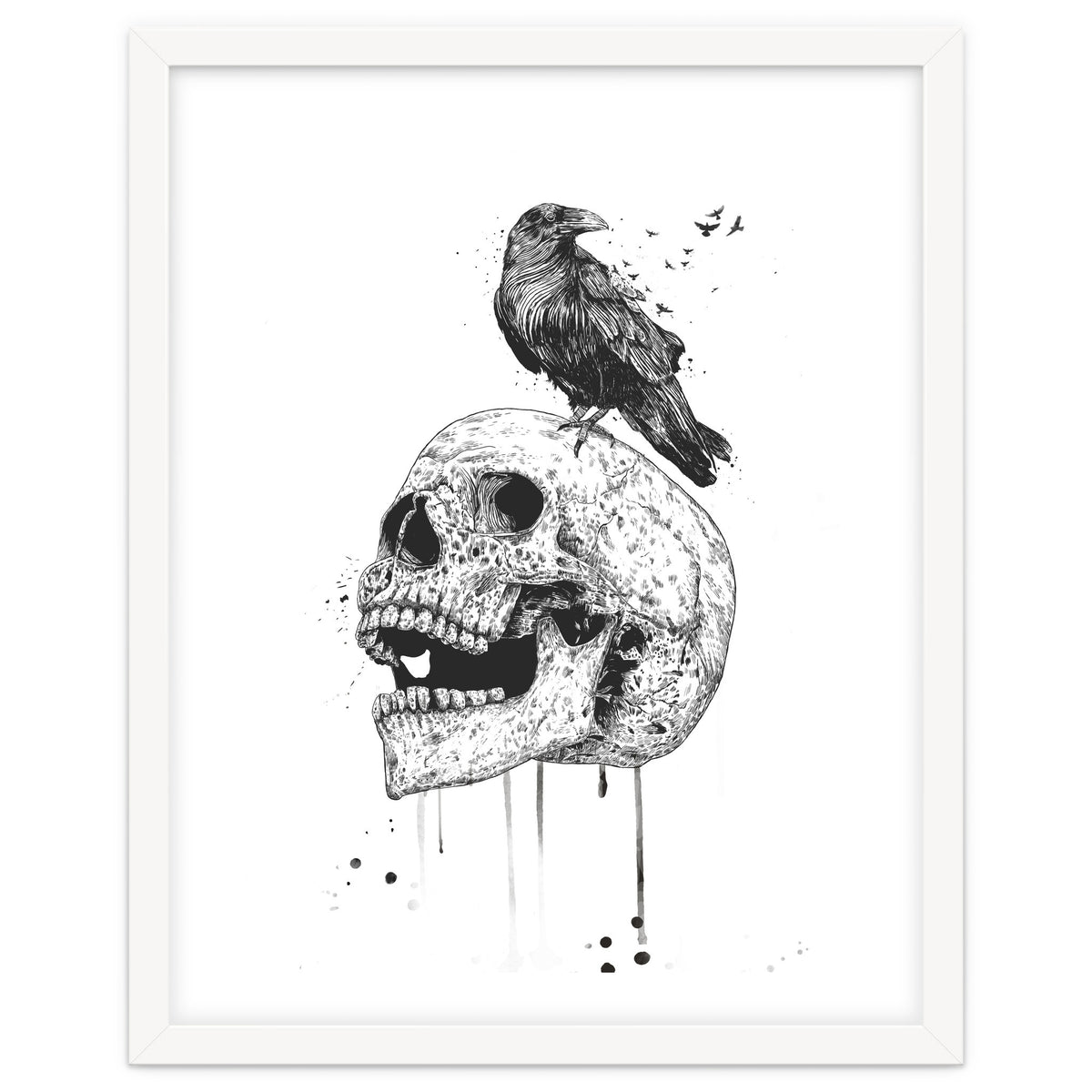 New Skull (bw)