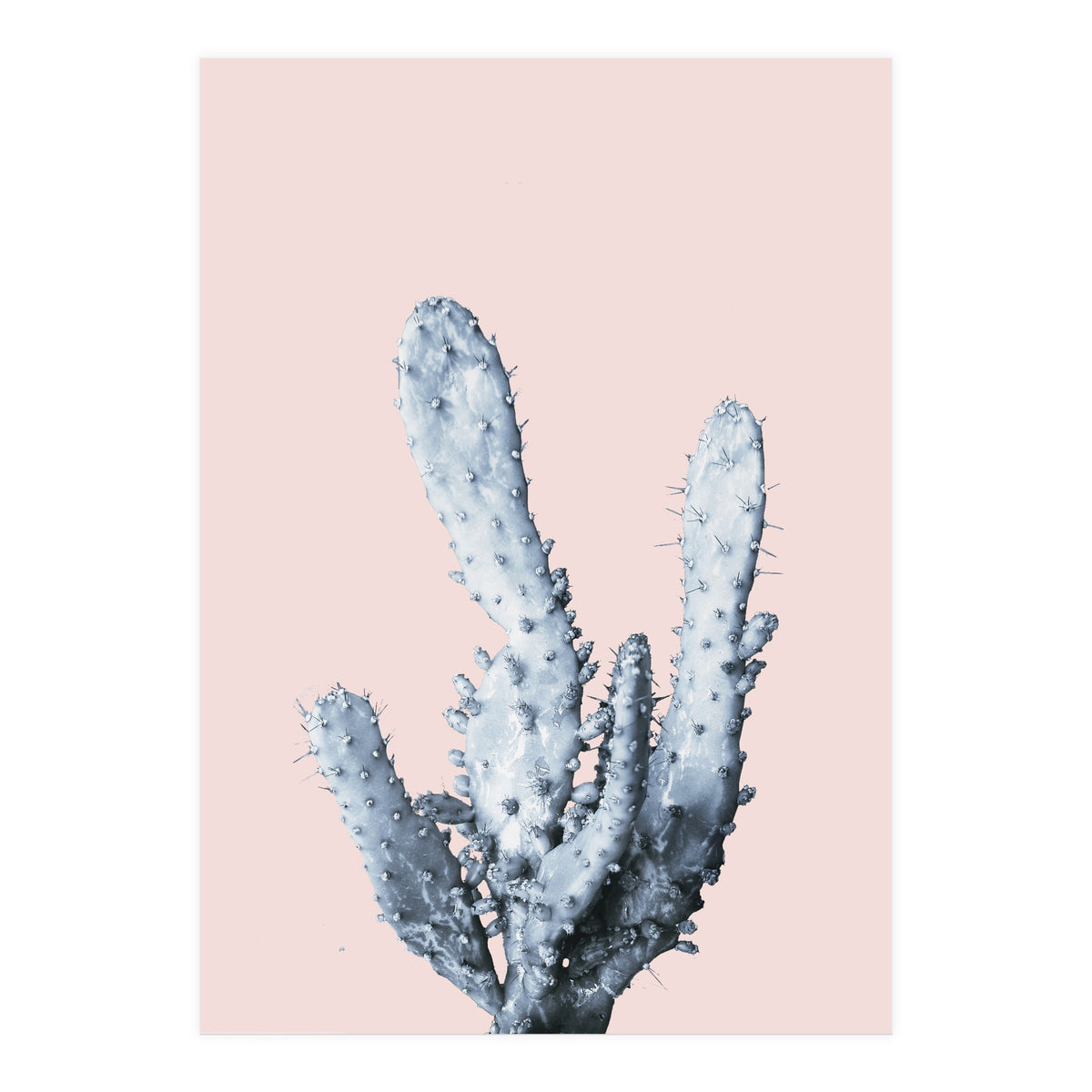Cactus collection BL-I (Print Only)