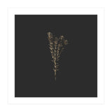 Moody Golden Botanicals - Square (Print Only) thumbnail
