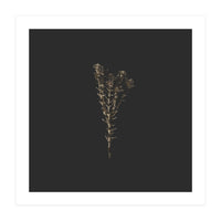 Moody Golden Botanicals - Square (Print Only)