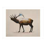 The Rocky Mountain Elk (Print Only) thumbnail