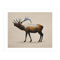 The Rocky Mountain Elk (Print Only)
