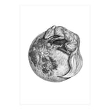 Moon Fox (Print Only) thumbnail