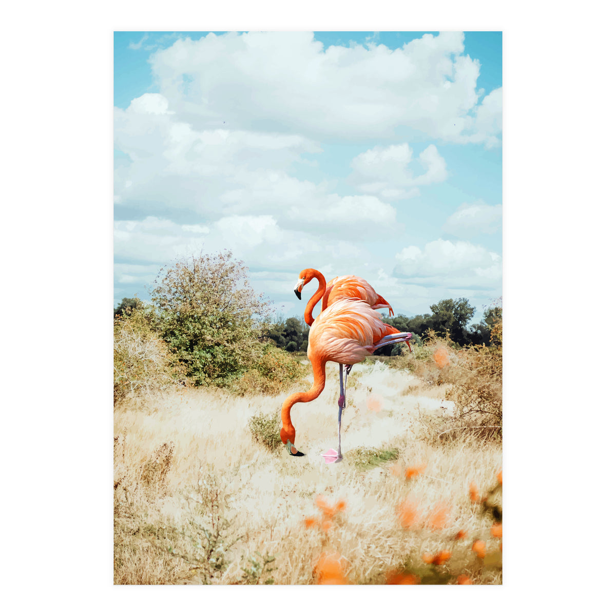 Flamingo Couple (Print Only)