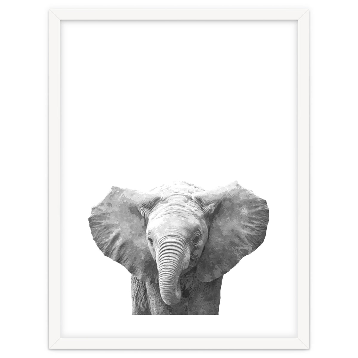 Black and White Baby Elephant