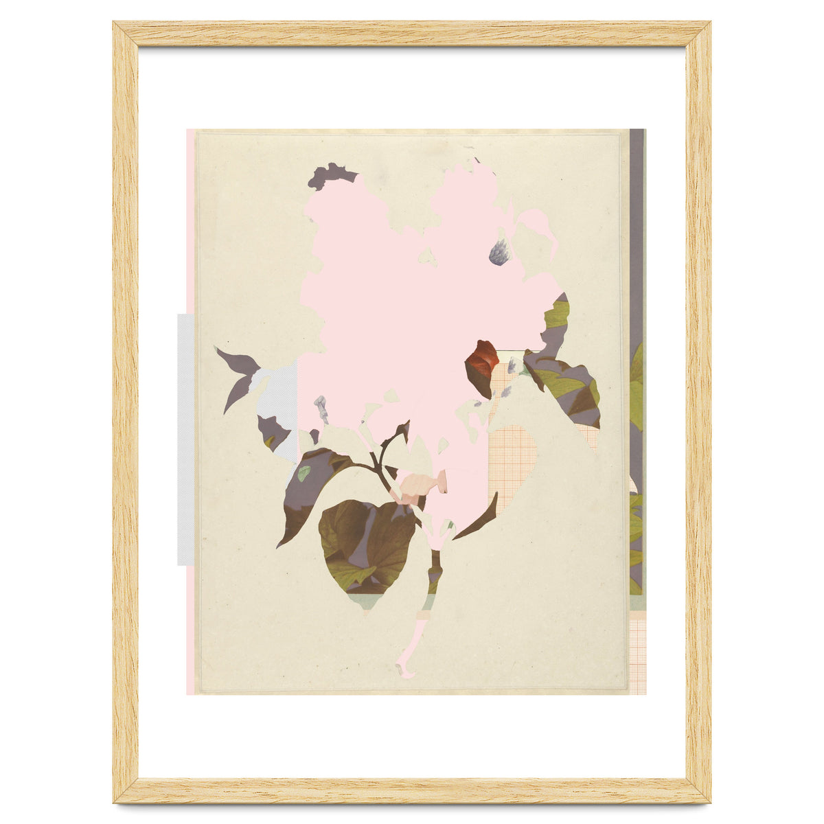 The First Plant · G