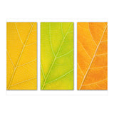 Autumn Leaves (Print Only) thumbnail