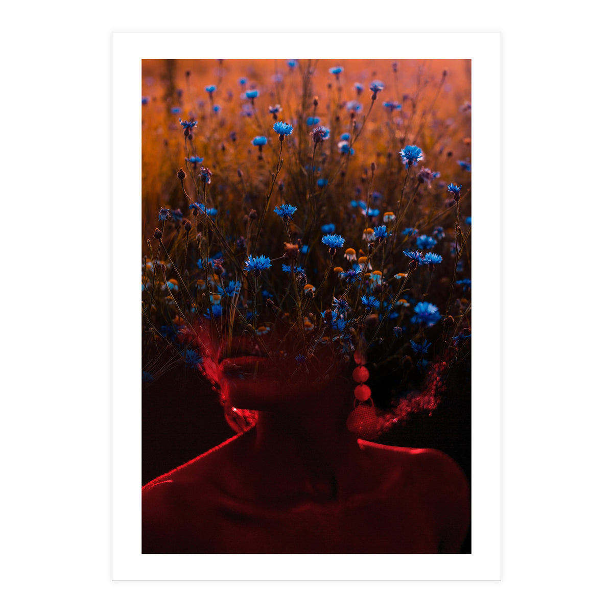 Dream Division 10 (Print Only)