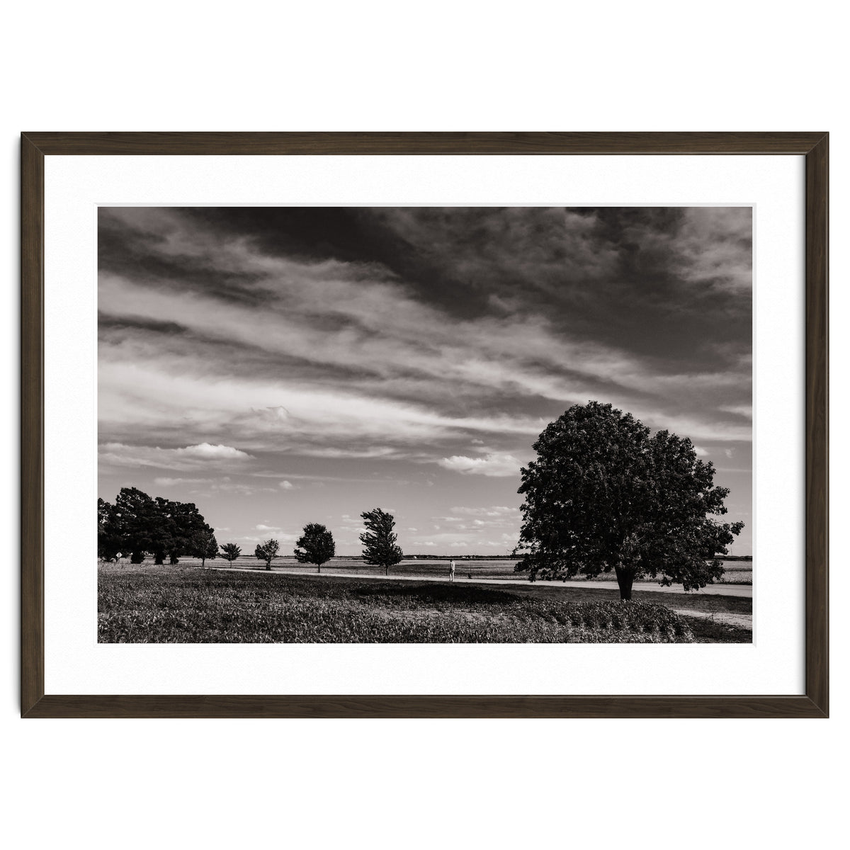 Country Road, Illinois