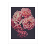 Dreamy Roses (Print Only) thumbnail