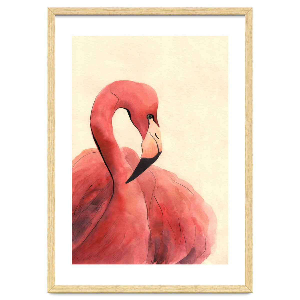 Flamingo