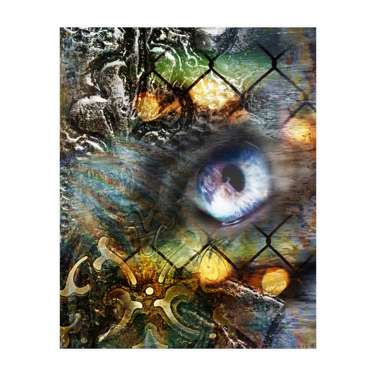 Perceptions (Print Only)