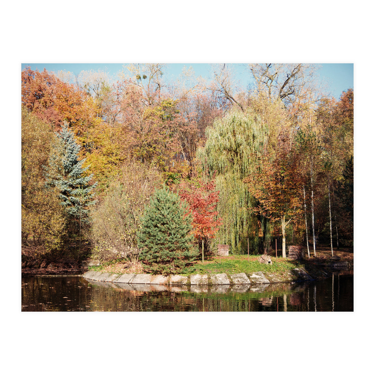 Camouflaged Animals (Print Only)