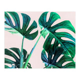 Wild Leaves (Print Only) thumbnail
