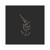 Delicate Golden Fynbos Botanicals on Black - Square (Print Only)