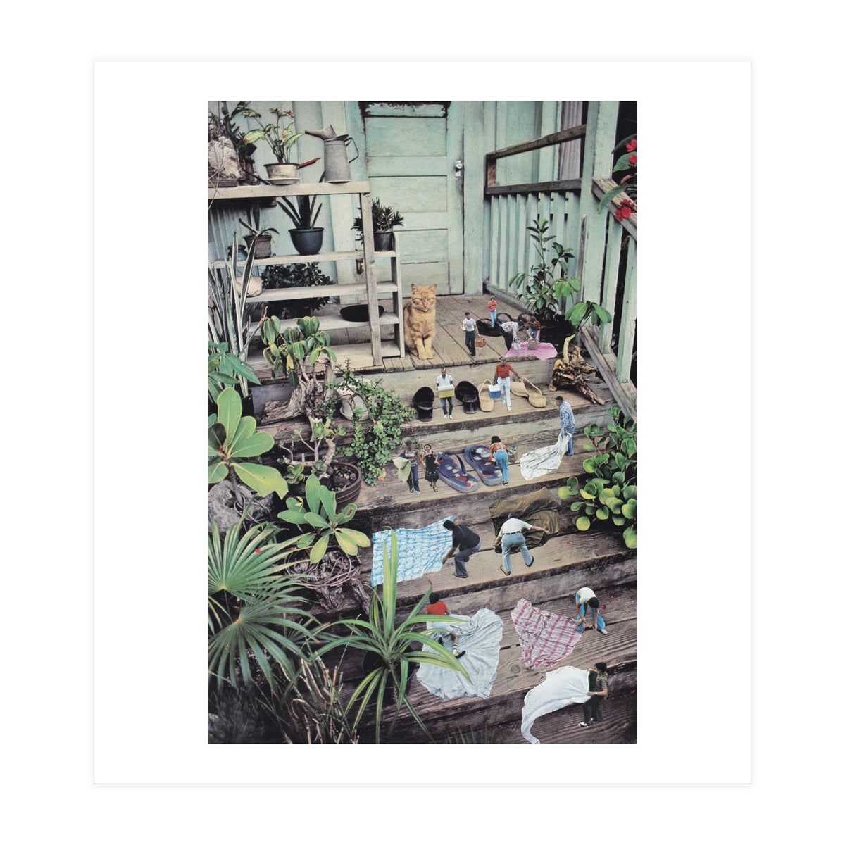 Big Cat (Print Only)